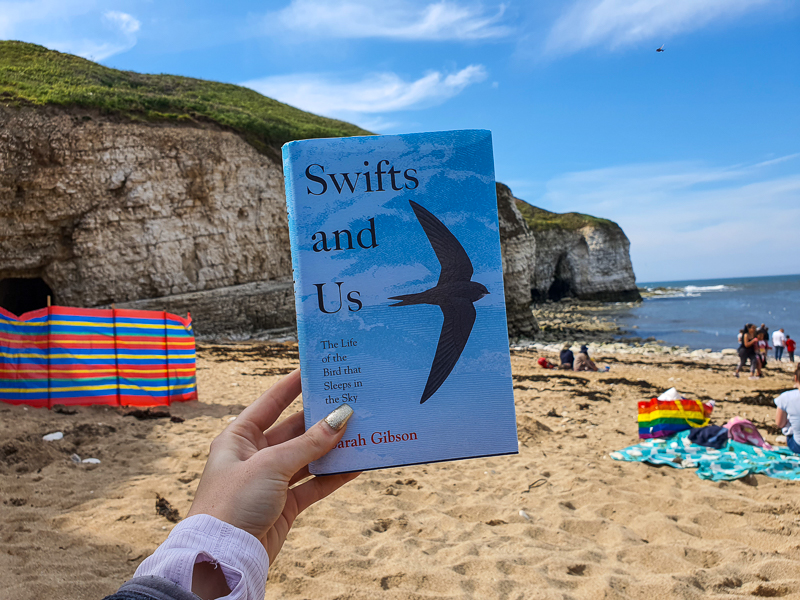 SWIFTS AND US