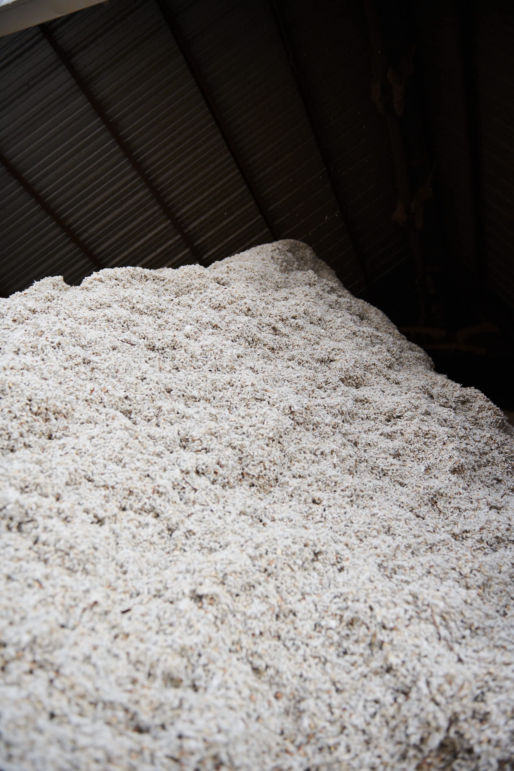 at cotton 1154