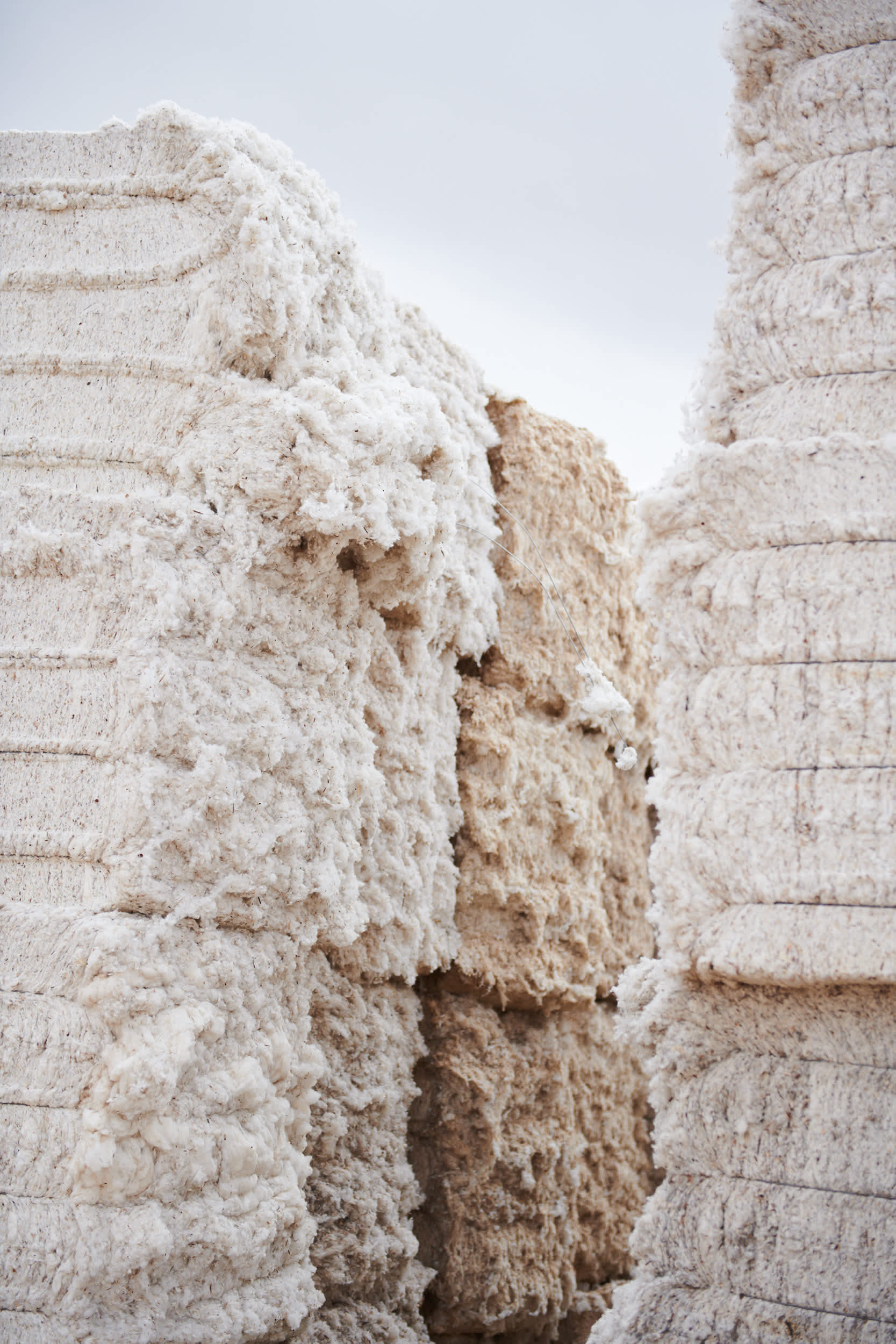 at cotton 1160-1