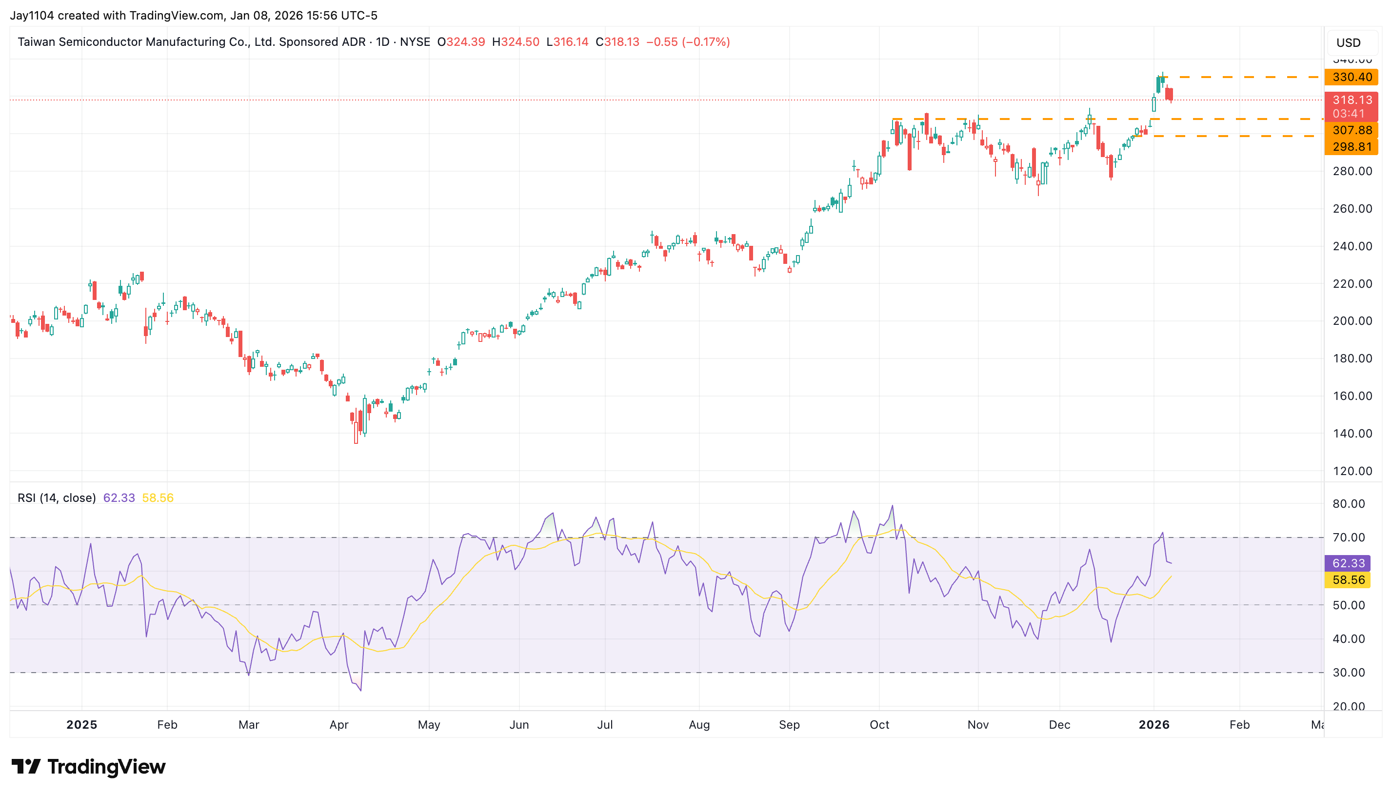 Taiwan Semiconductor Manufacturing share price, January 2025 - present