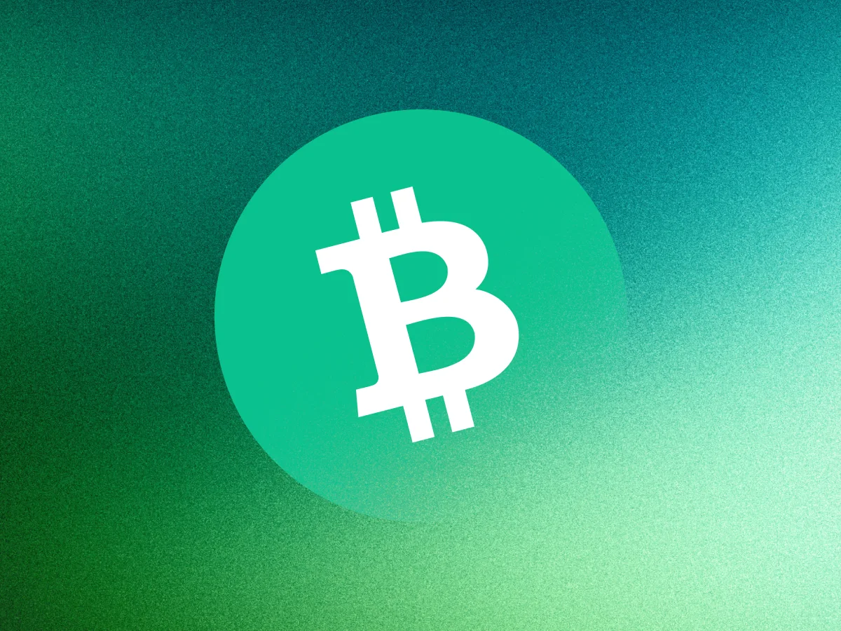 Hero image of Bitcoin Cash (BCH)