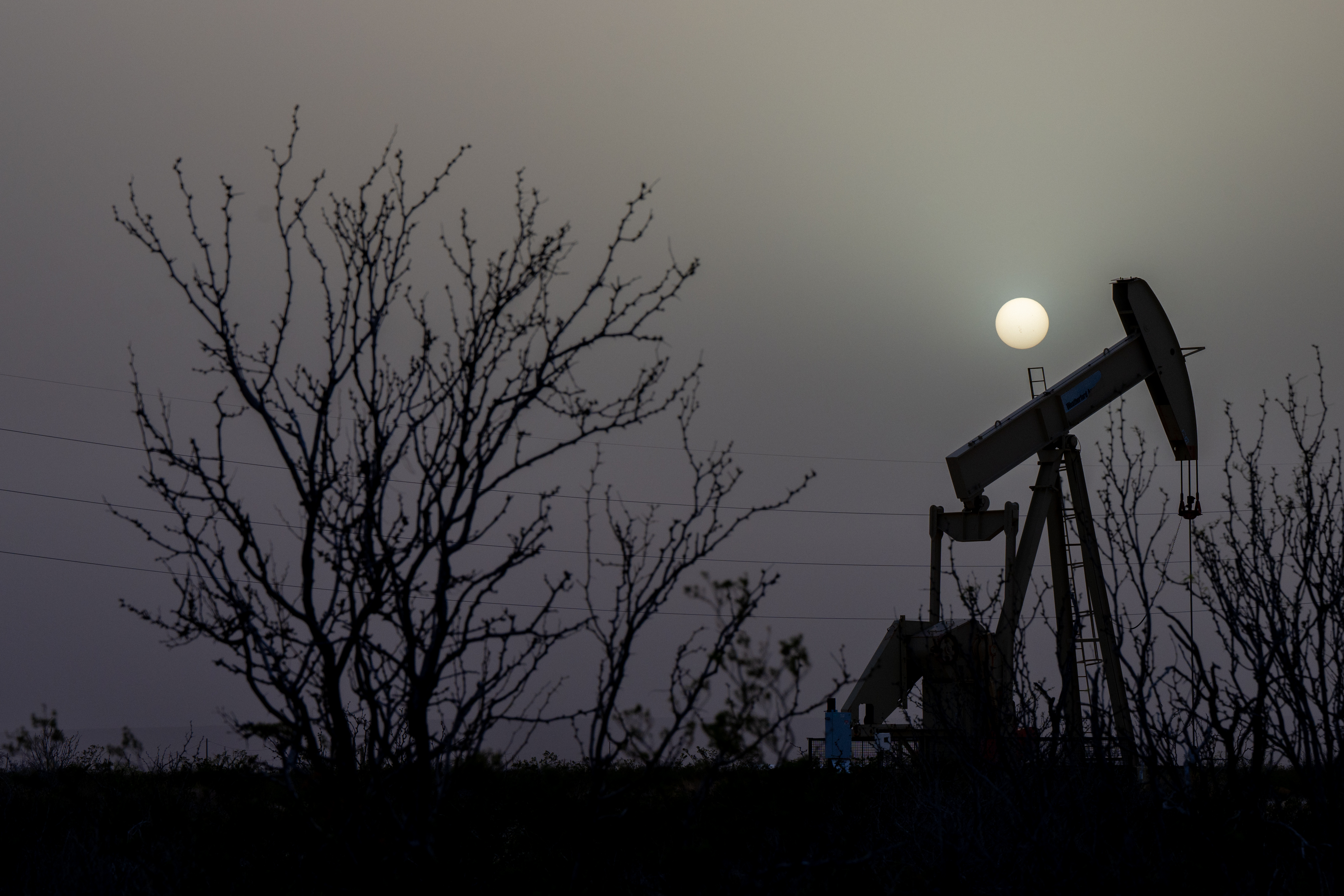 Oil finds support - Hero