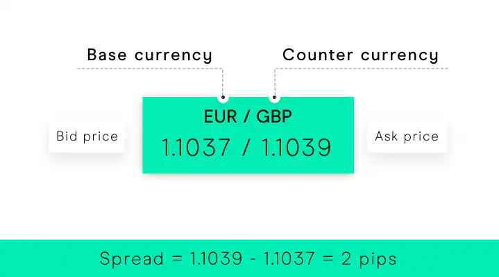 Base Currency & Counter Currency