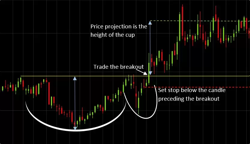 Cup and handle