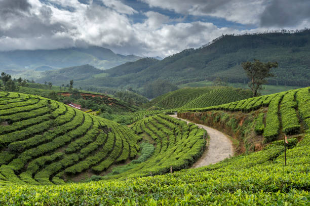 Image of Kerala2