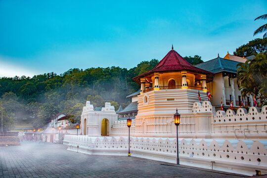 Image of Tooth Temple