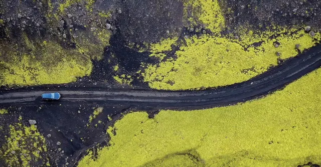 automobile-status-symbol2 Medium.png