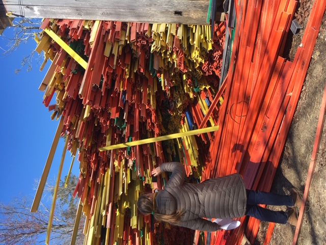 NDC Staff member Sophie Morley on a site visit with Farming 4 Hunger sourcing materials.