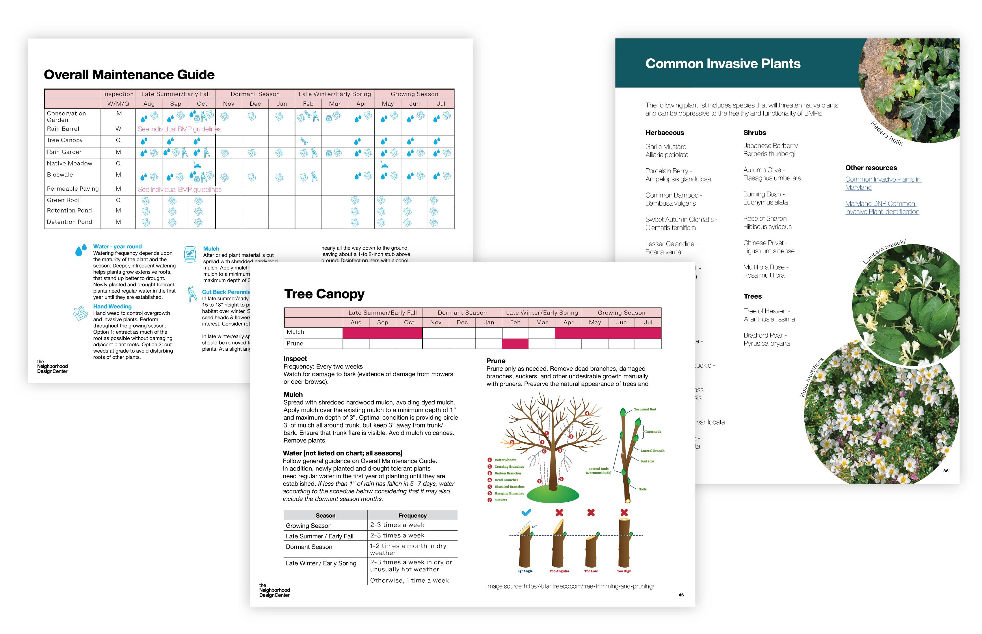 Climate Resilience Toolkit: Stormwater Management and Green Infrastructure Design — Lessons Plans for High School Students. Developed in Prince George's Country Maryland to address their Climate Change Action Plan.