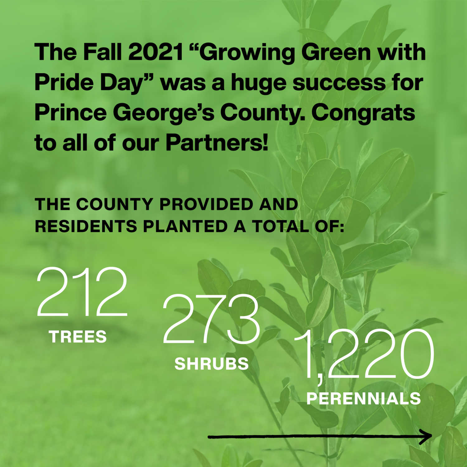 Growing Green with Pride