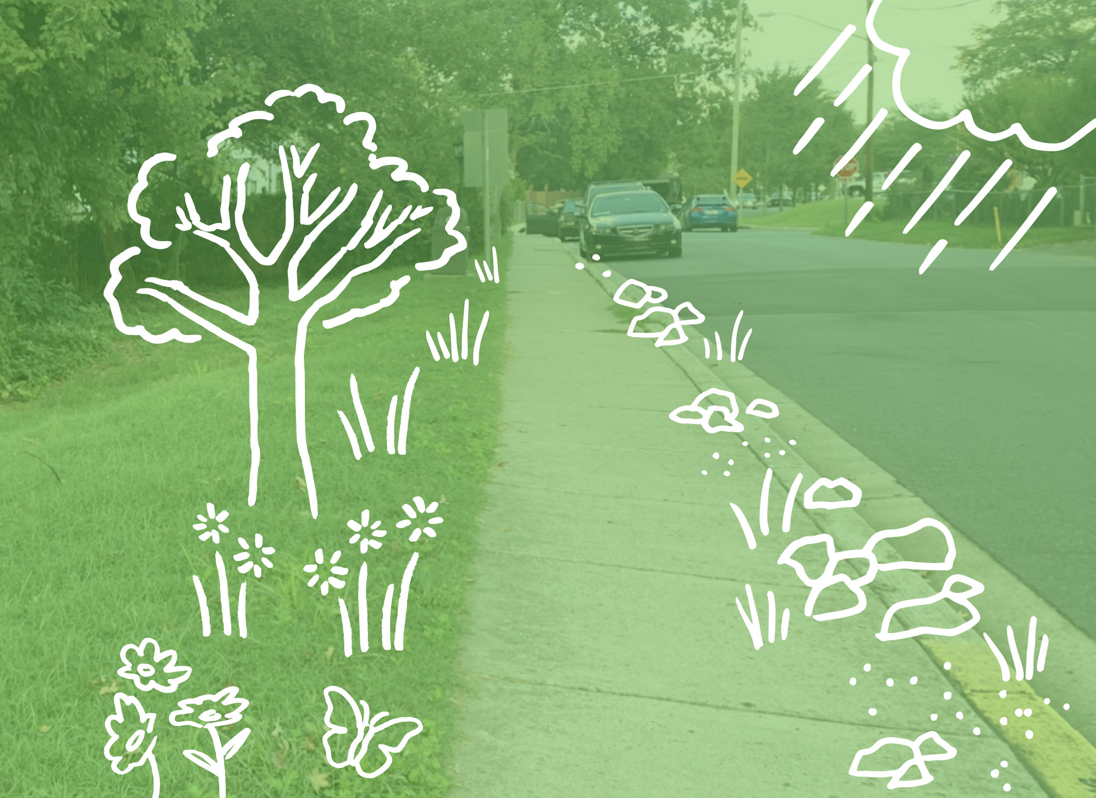 How to prevent flooding and heat waves. Green Infrastructure Design and Planning reverses climate change.
