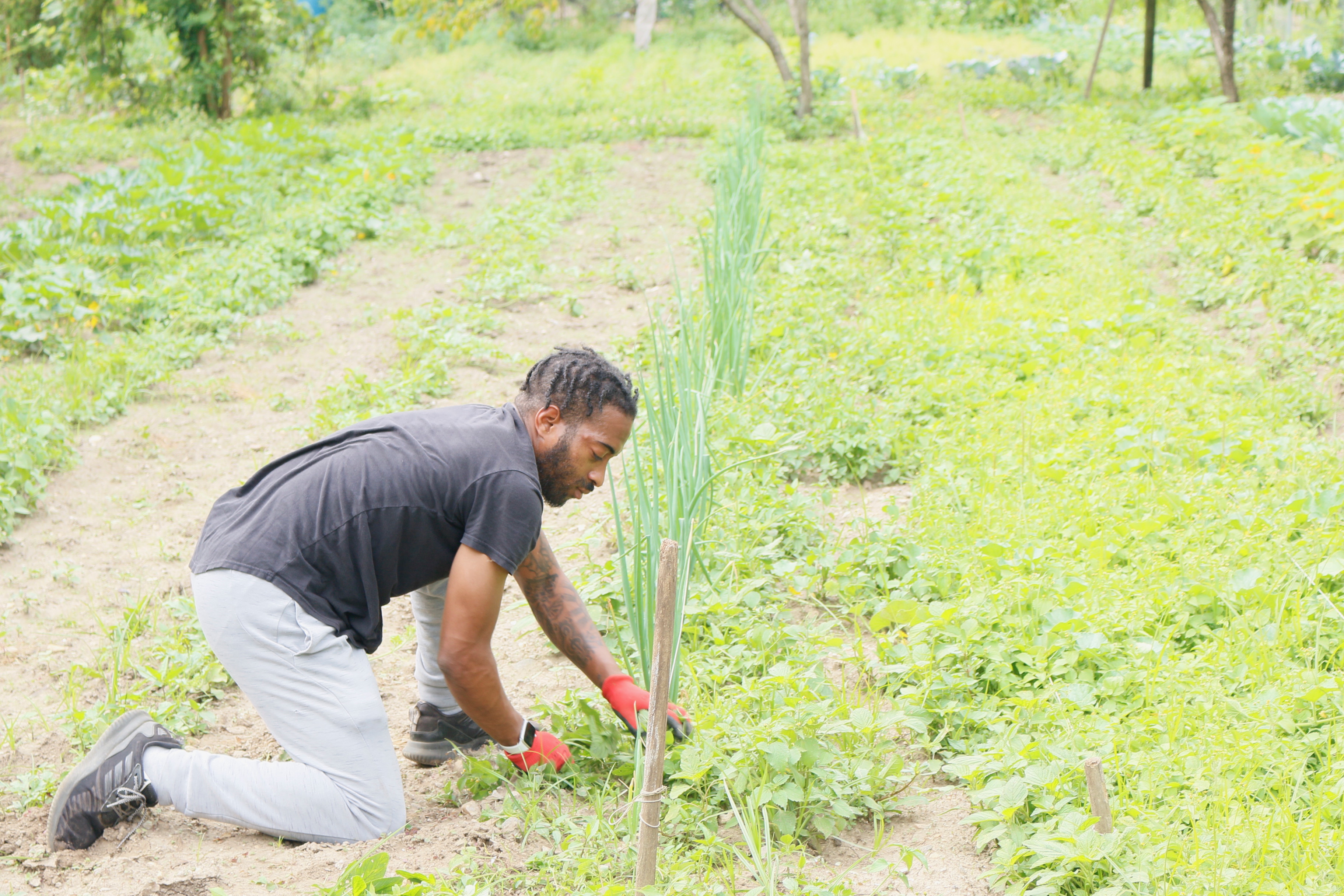 Quinton working in the garden.
