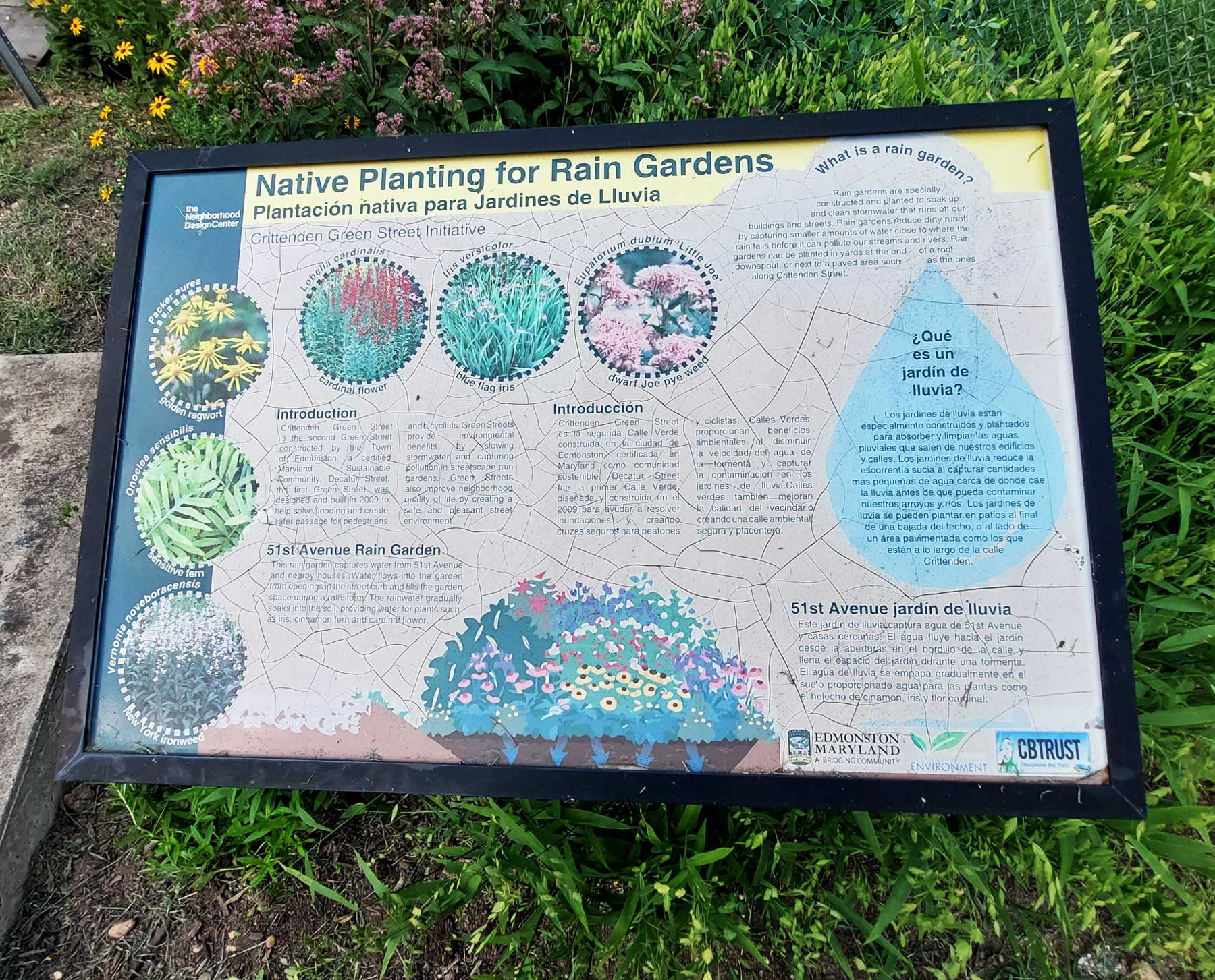 Edmonston, Maryland stormwater workshop. Learn about bioretention and environmental infrastructure.