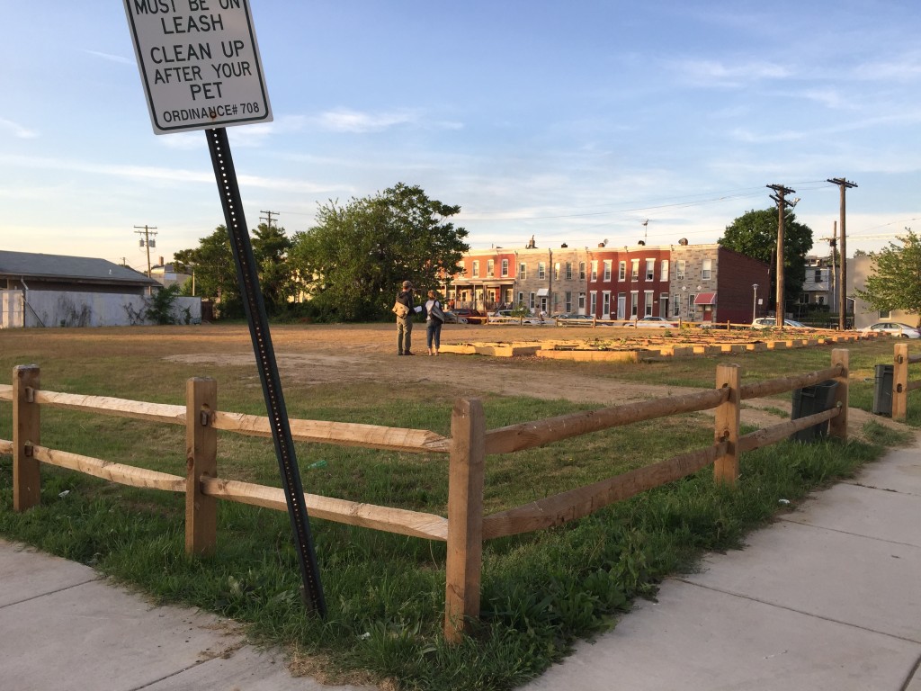 Existing conditions after lot adoption, Spring 2015. Image by Laura Wheaton.
