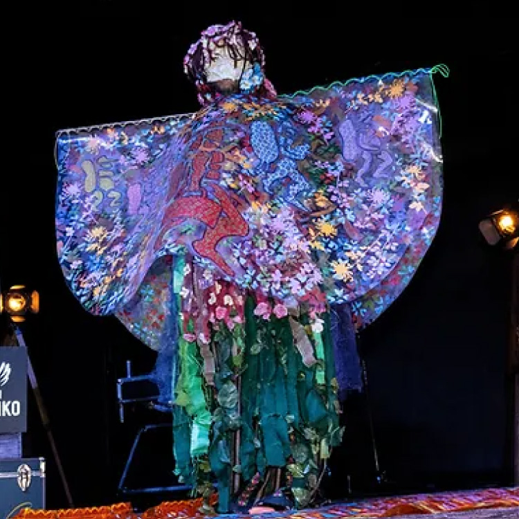 Performance (and photo) by The Medicine Show, the producers of the Closing Party .