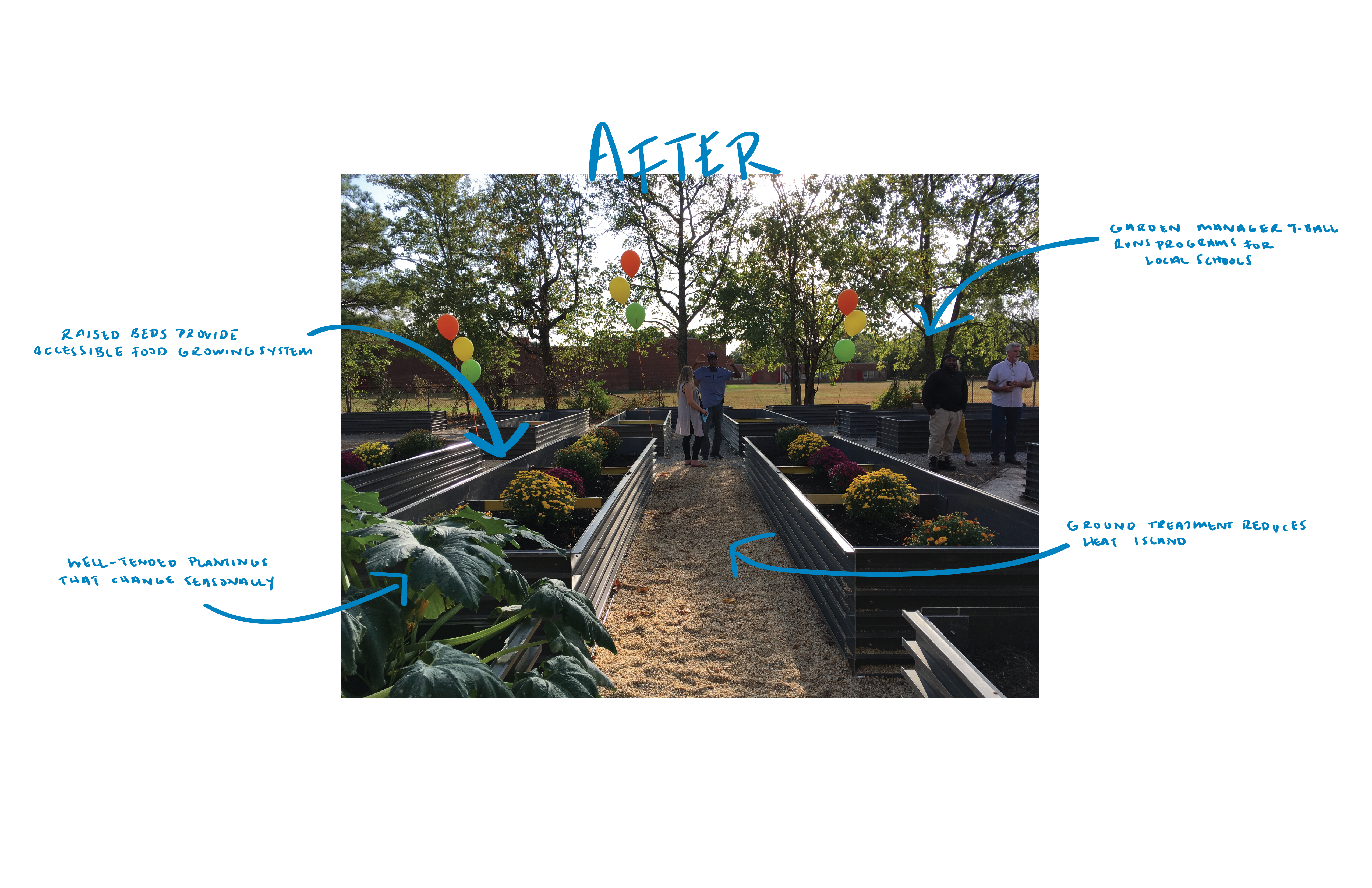 After: Raised beds provide accessible food growing system, well-tended plantings that change seasonally, ground treatment reduces heat island, garden manager T-Ball runs programs for local schools.