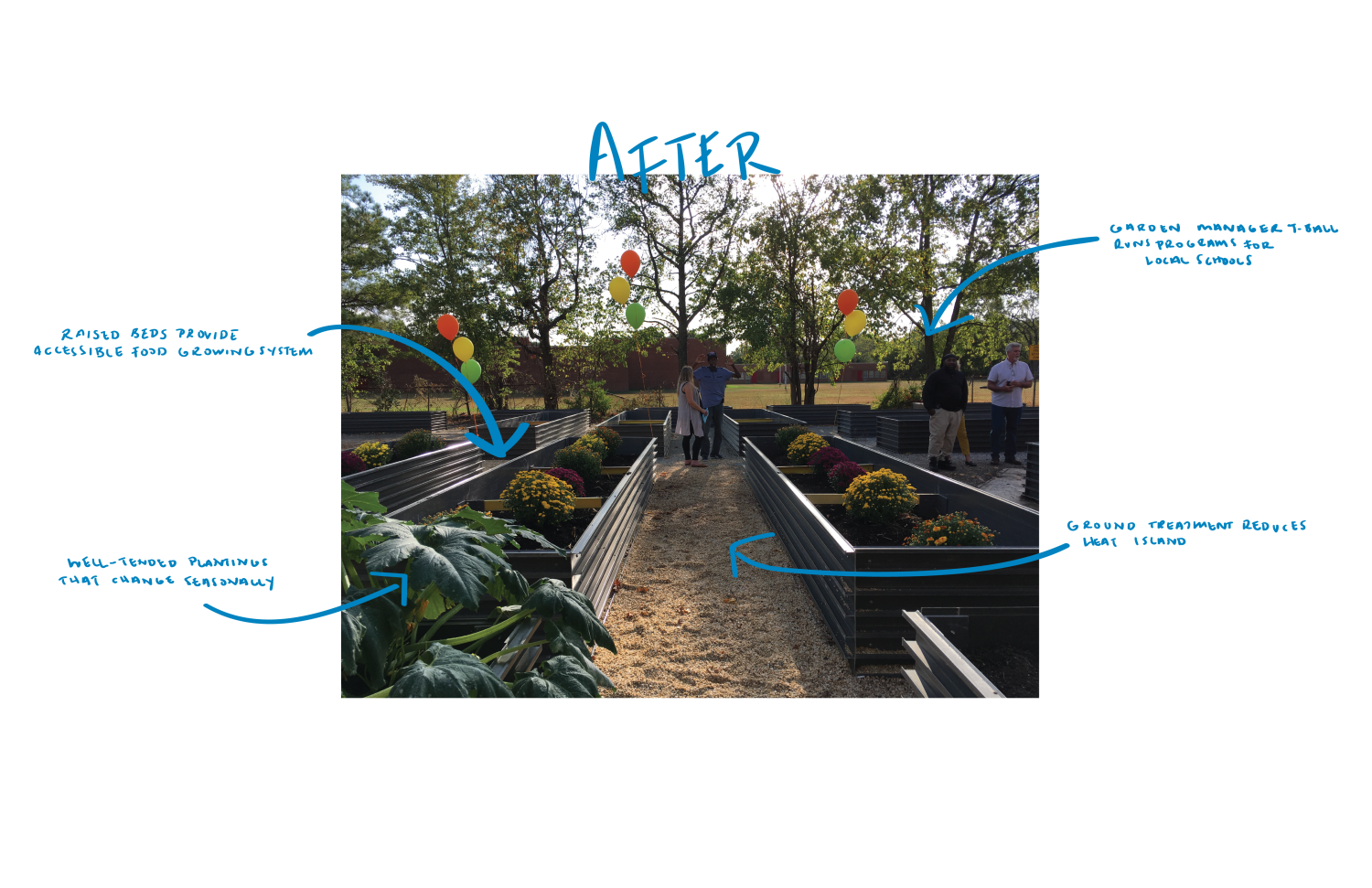 After: Raised beds provide accessible food growing system, well-tended plantings that change seasonally, ground treatment reduces heat island, garden manager T-Ball runs programs for local schools.