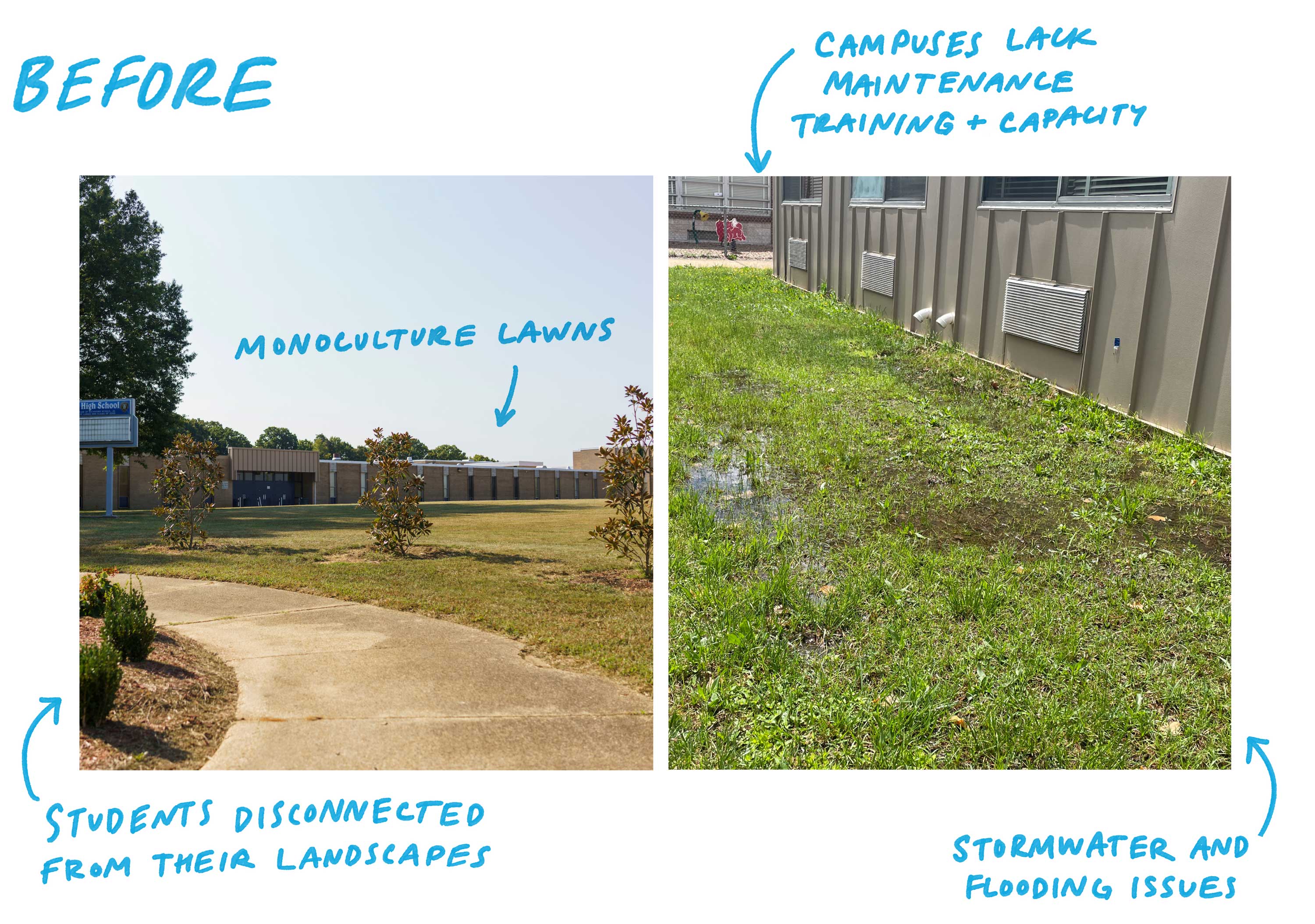Many campuses lacked the staff capacity, training, and long-term planning needed to maintain these systems effectively. Students were also largely disconnected from the landscapes they used every day. Monoculture lawns dominated school grounds, and existing stormwater features were often overlooked or misunderstood. Stormwater issues and flooding were addressed individually, versus holistically across a campus.