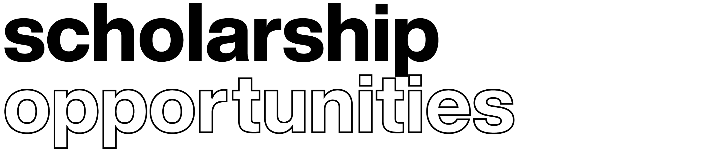 Test that says Scholarship Opportunities