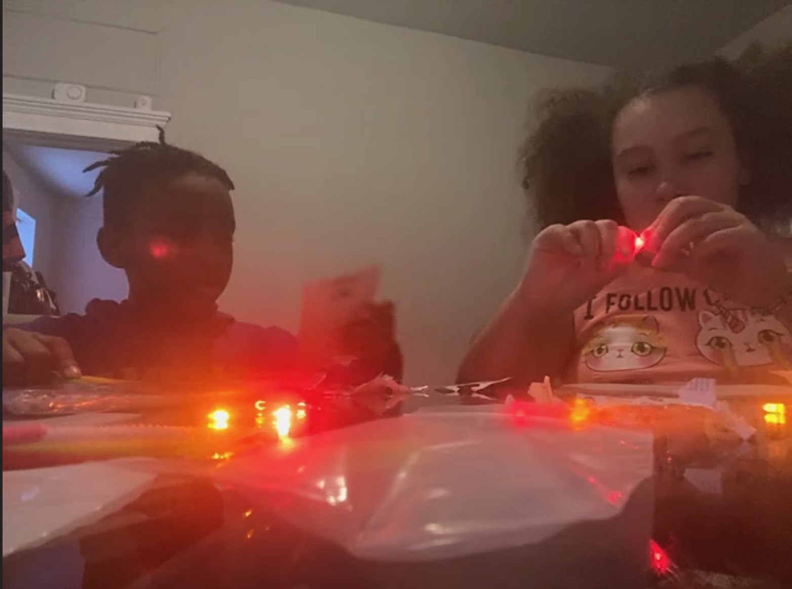 A Family that Crafts Together!