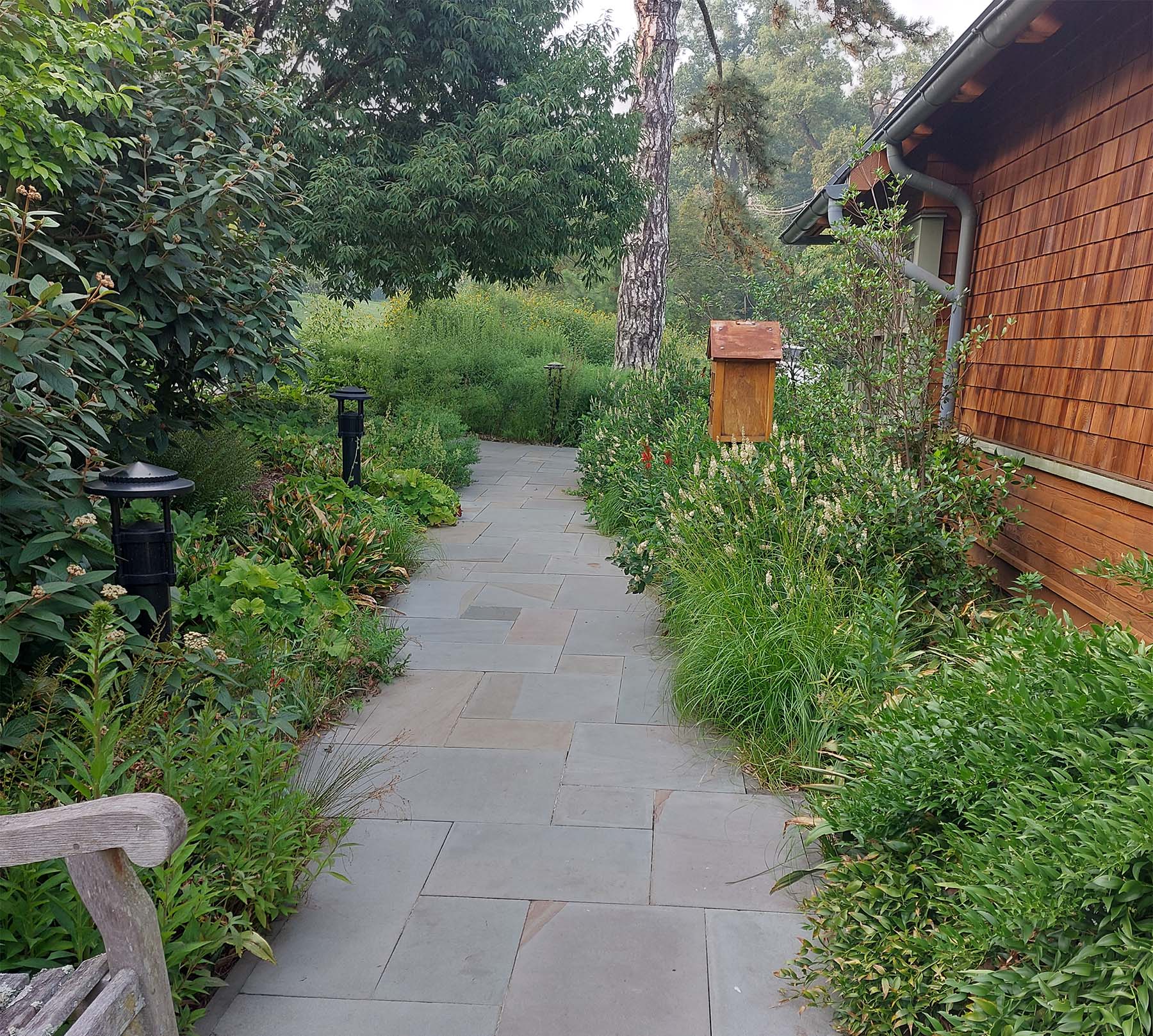 Lush walkways at Woody Plant Conference.