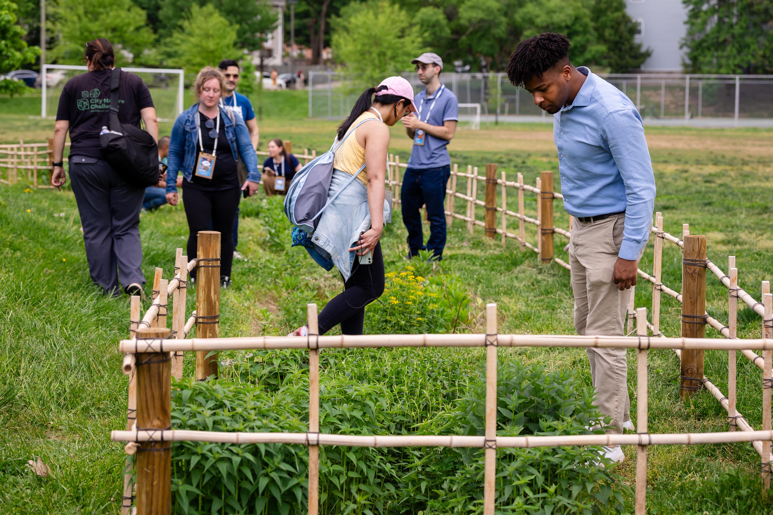 The Vision is Yours Placemaking and Placekeeping Conference 2026: participants catalog plants and animals.