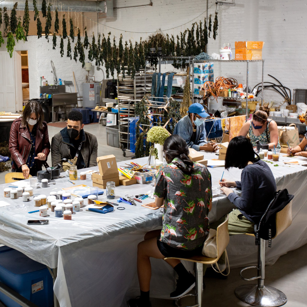 Interactive tour of natural indigo dye studio Blue Light Junction