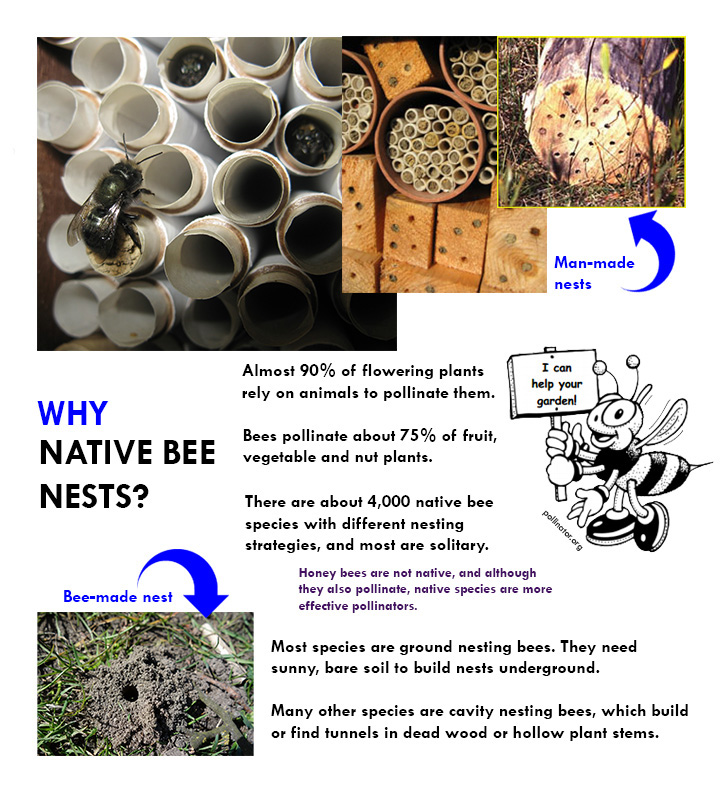 Making science practical and fun. Image by NDC / Laura Kendrick.
