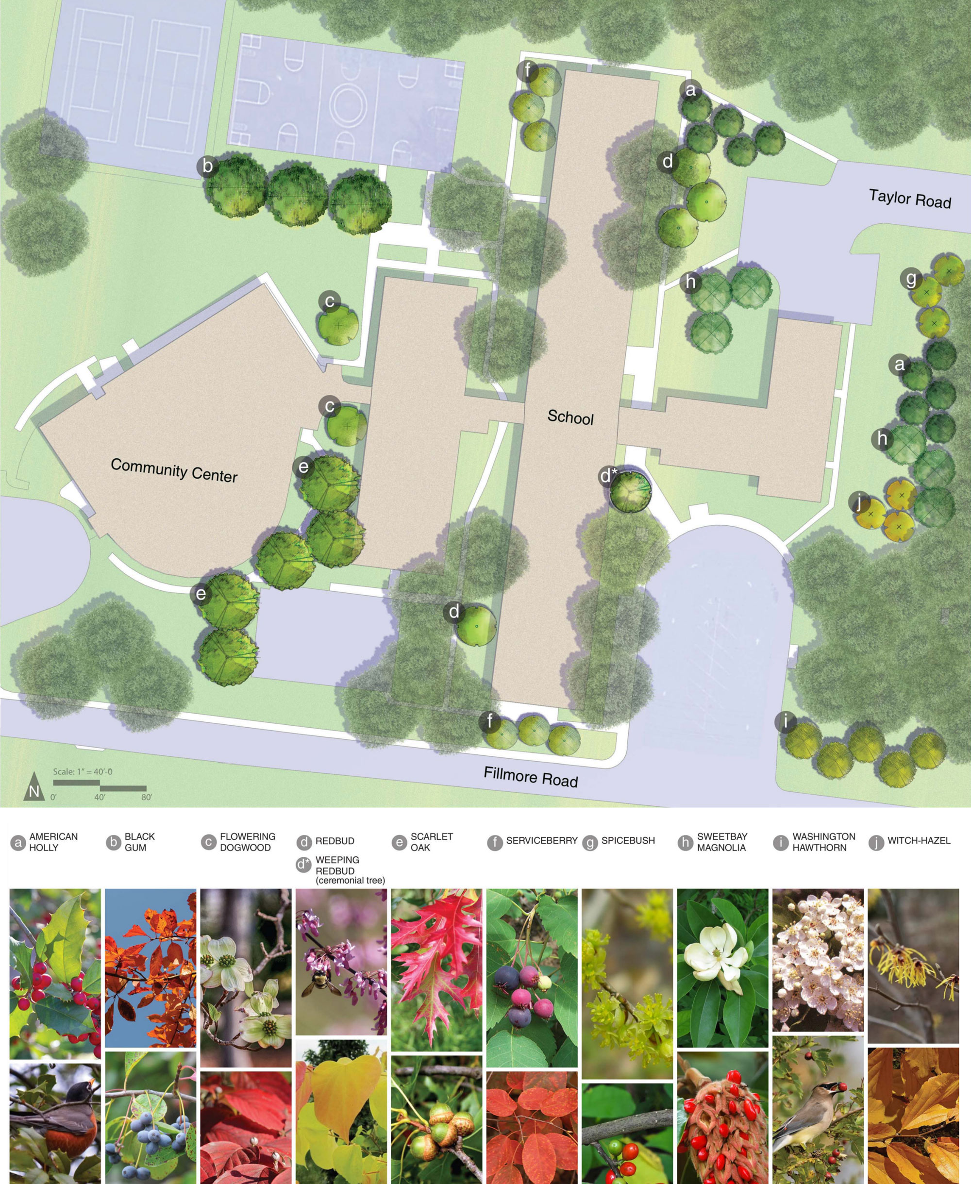 Increasing the tree canopy at Fort Washington Forest Elementary.