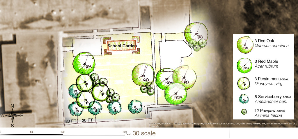 Benjamin Foulois Creative and Performing Arts Academy planting plan. Image by NDC.