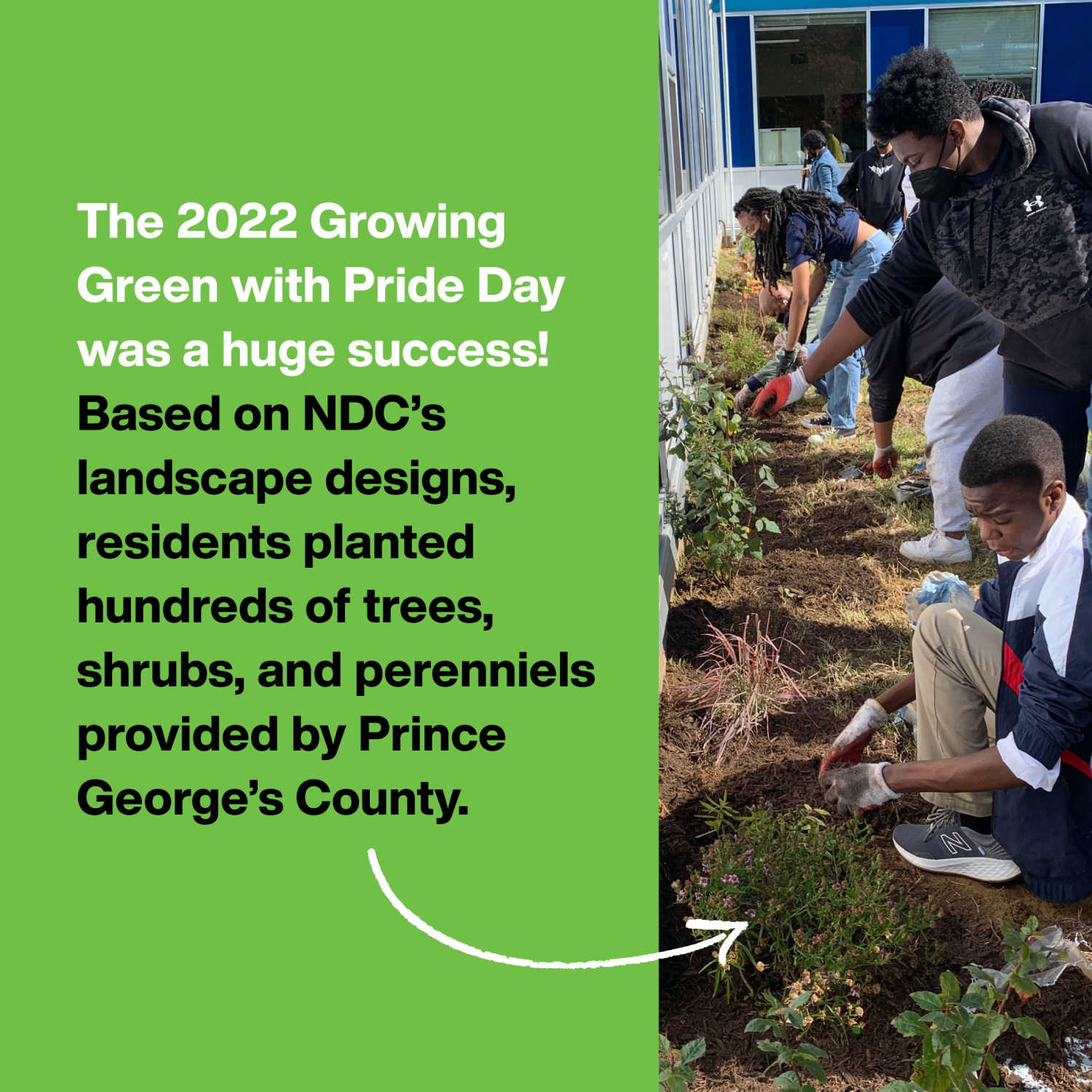 The 2022 Growing Green with Pride Day was a huge success! Based on NDC’s landscape designs, residents planted hundreds of trees, shrubs, and perennials provided by Prince George’s County.