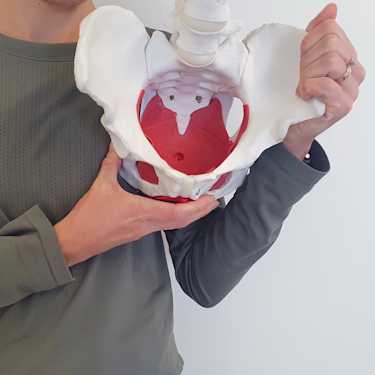 How to do a pelvic floor squeeze!