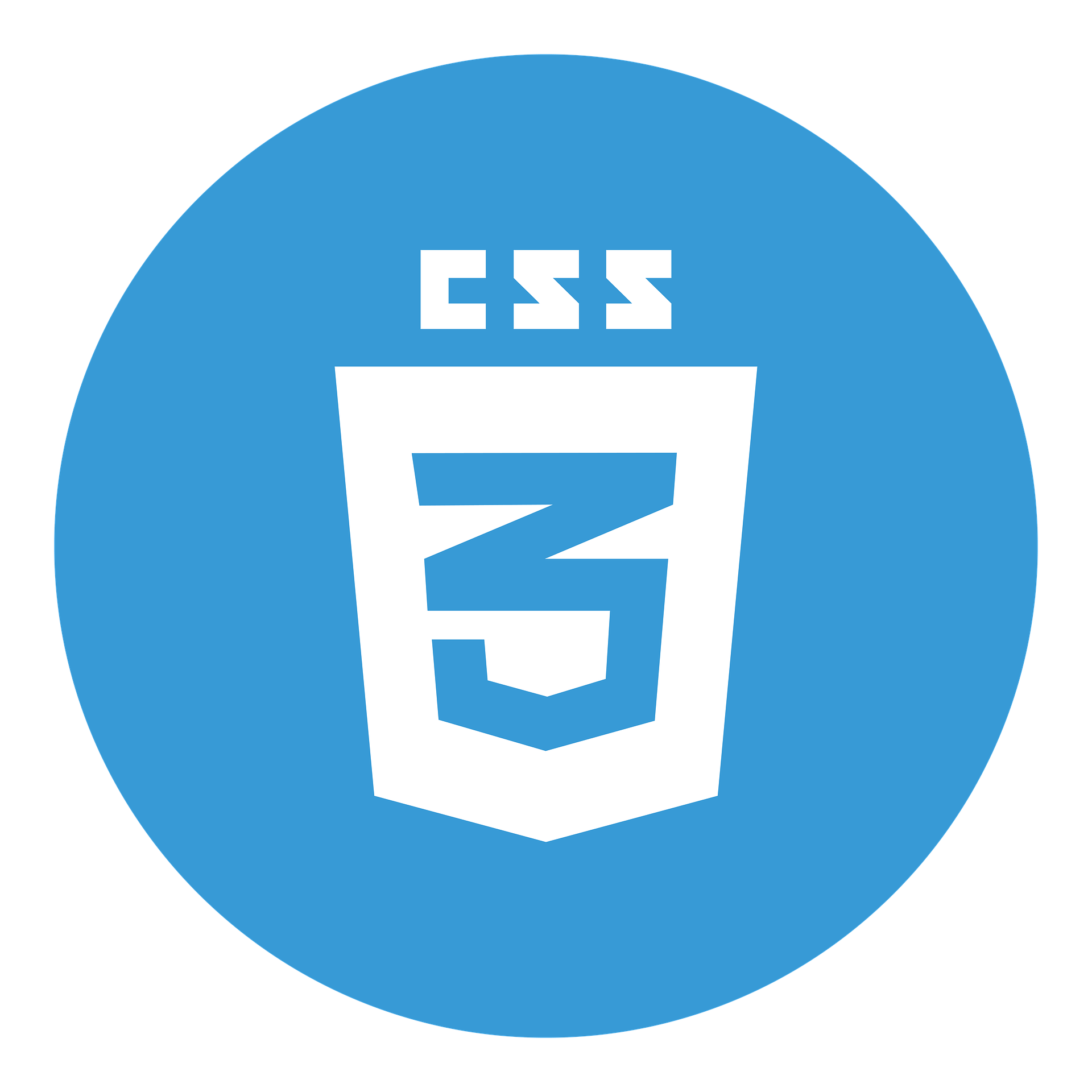 CSS-Logo