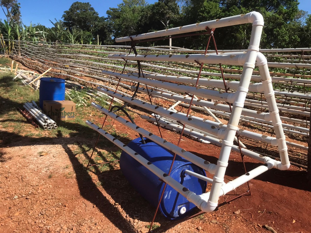 hydrofarm jamaica