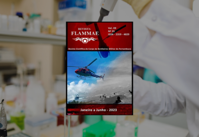 Image of Innovative approaches in the protection against fires