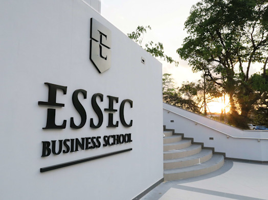 Academic Faculty ESSEC Professors