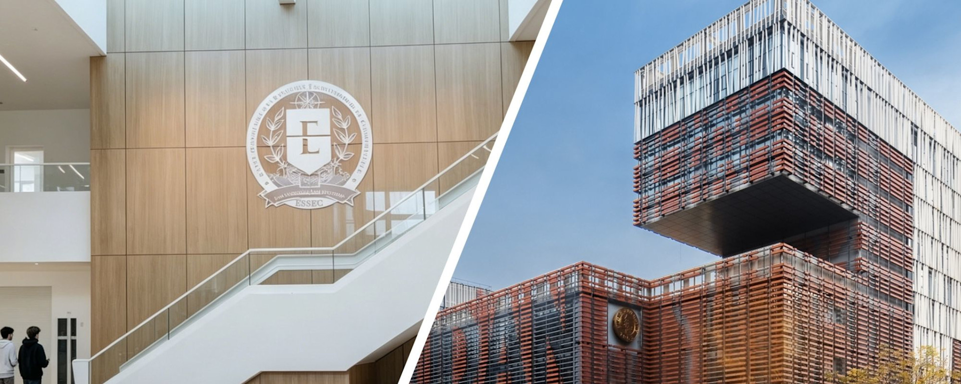 banniere essec executive MBA chinese