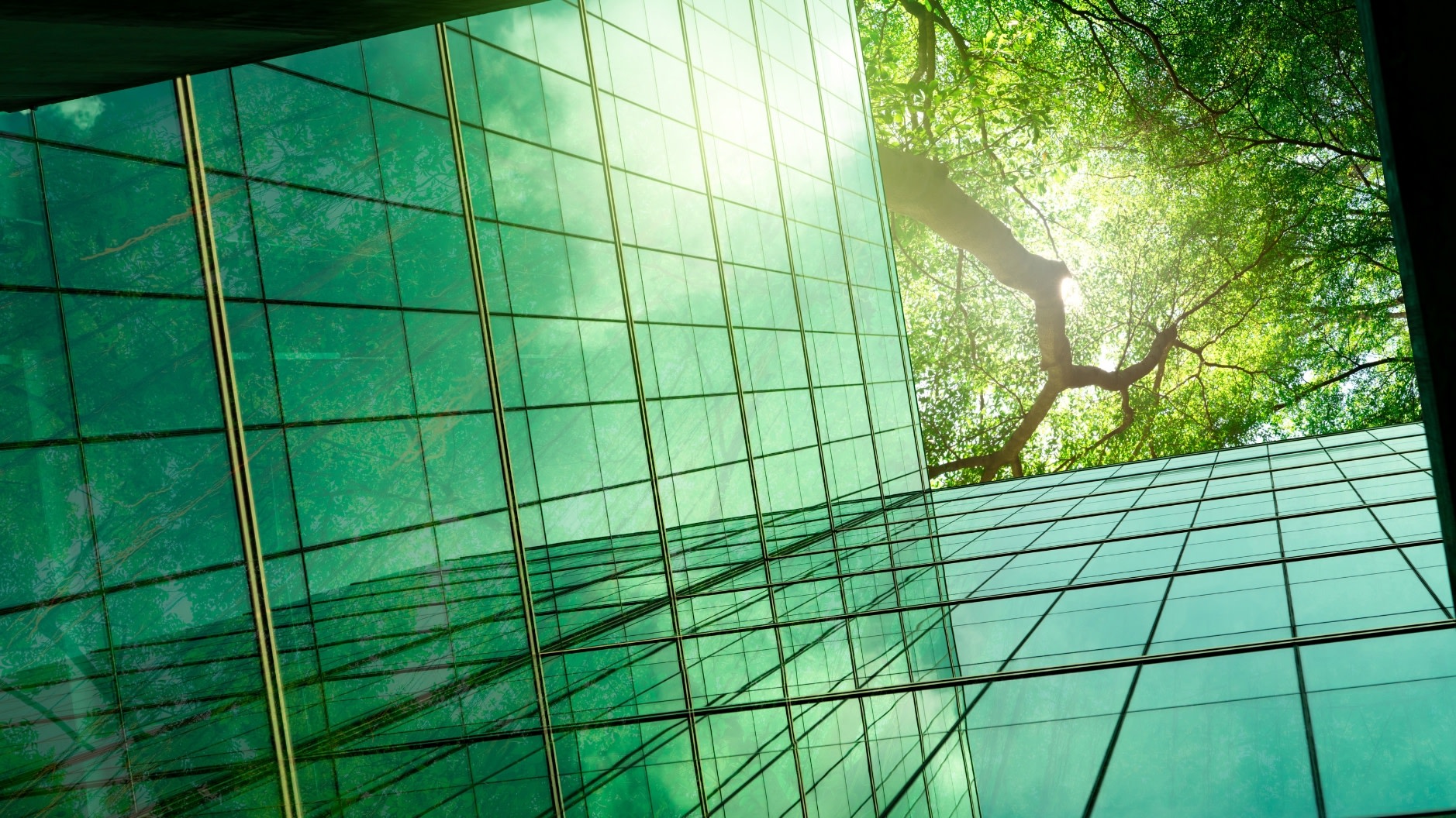 EEE - ONL - EC - Sustainability