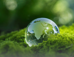 EEE-EMBA-SMR-20251202