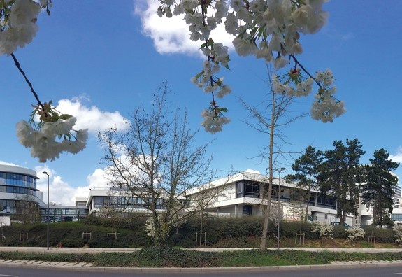 ESSEC ranked 6th best business school in Europe by the FT - News || ESSEC