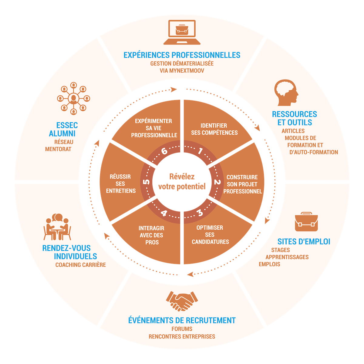 Infographie Career Services 6 étapes