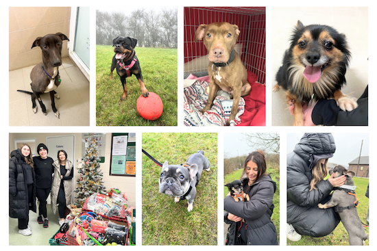 stokenchurch charity website images