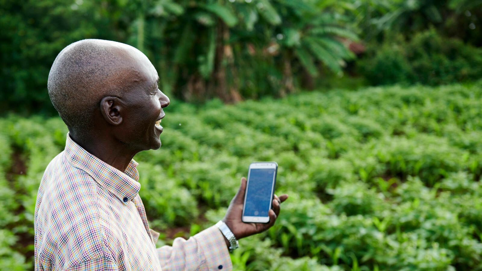 Farmer with a Mobile Phone