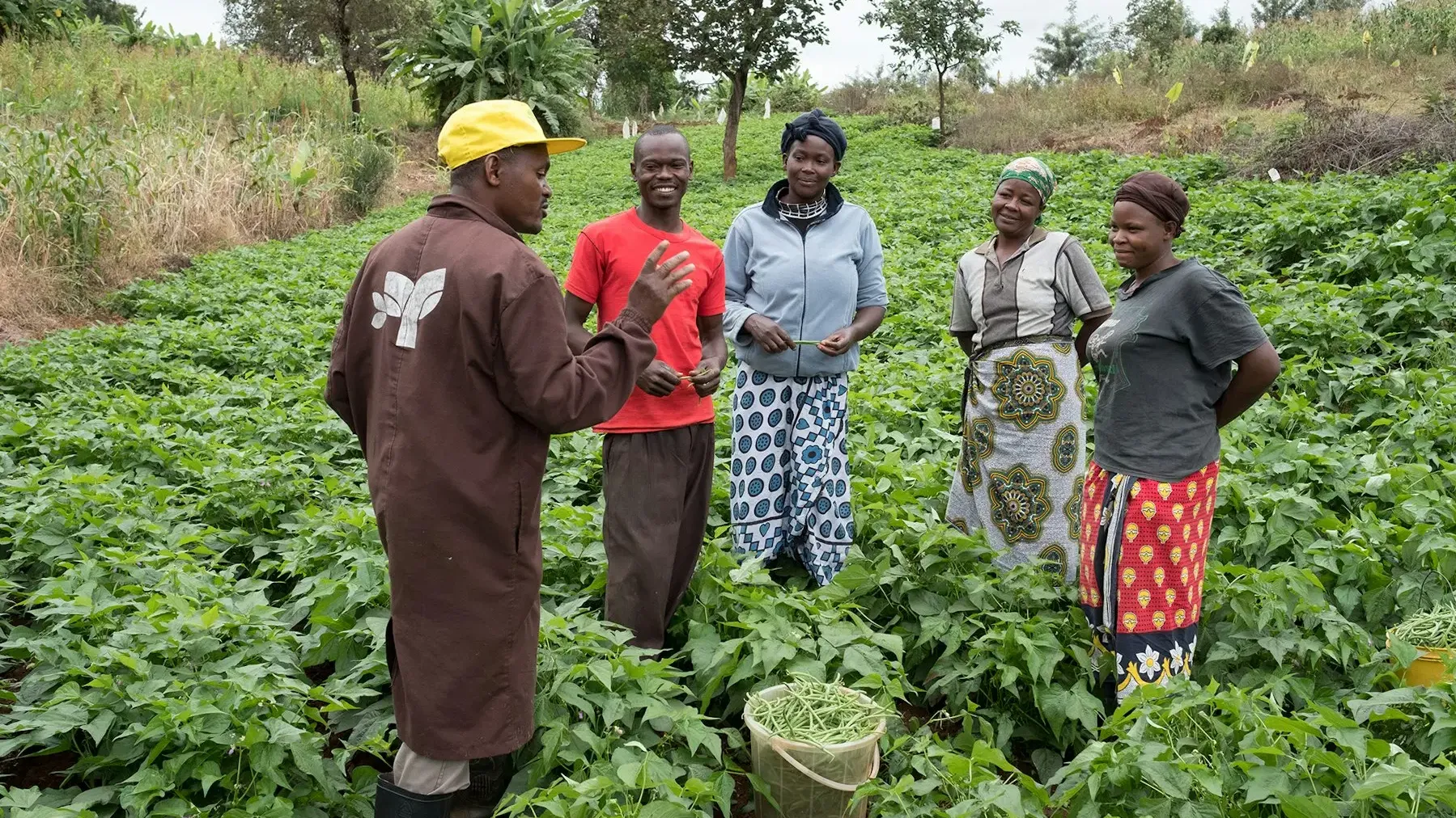 Farmers