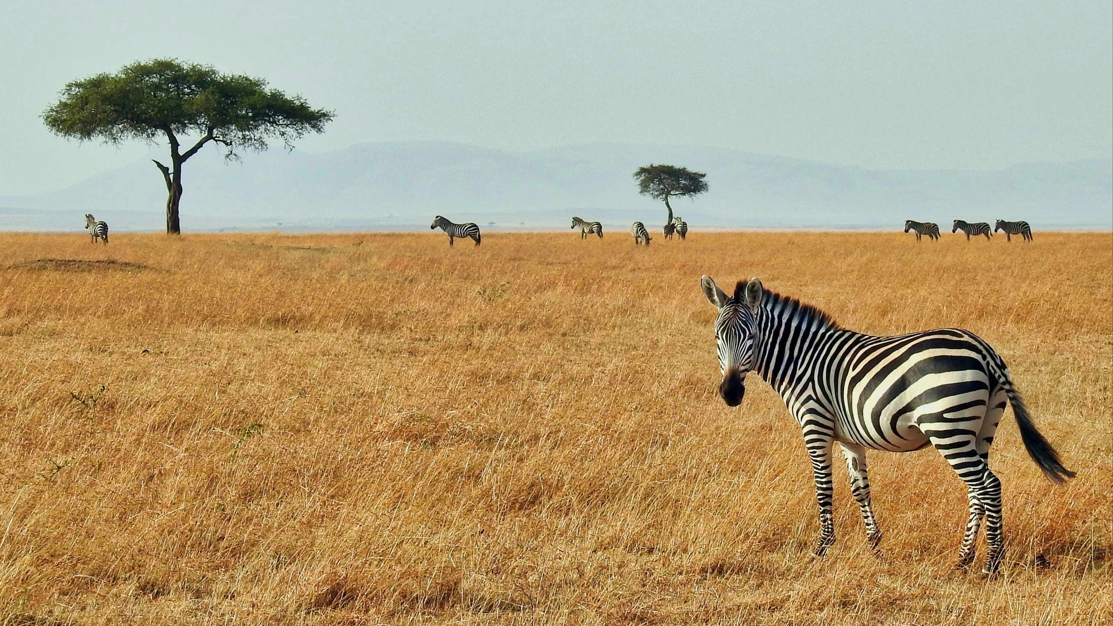 Climate Change in Africa 