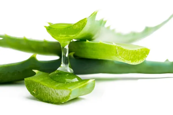 Why is Aloe Vera Good For Hair? | Herbal Essences Arabia