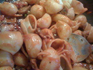 Three Mushroom Rigatoni