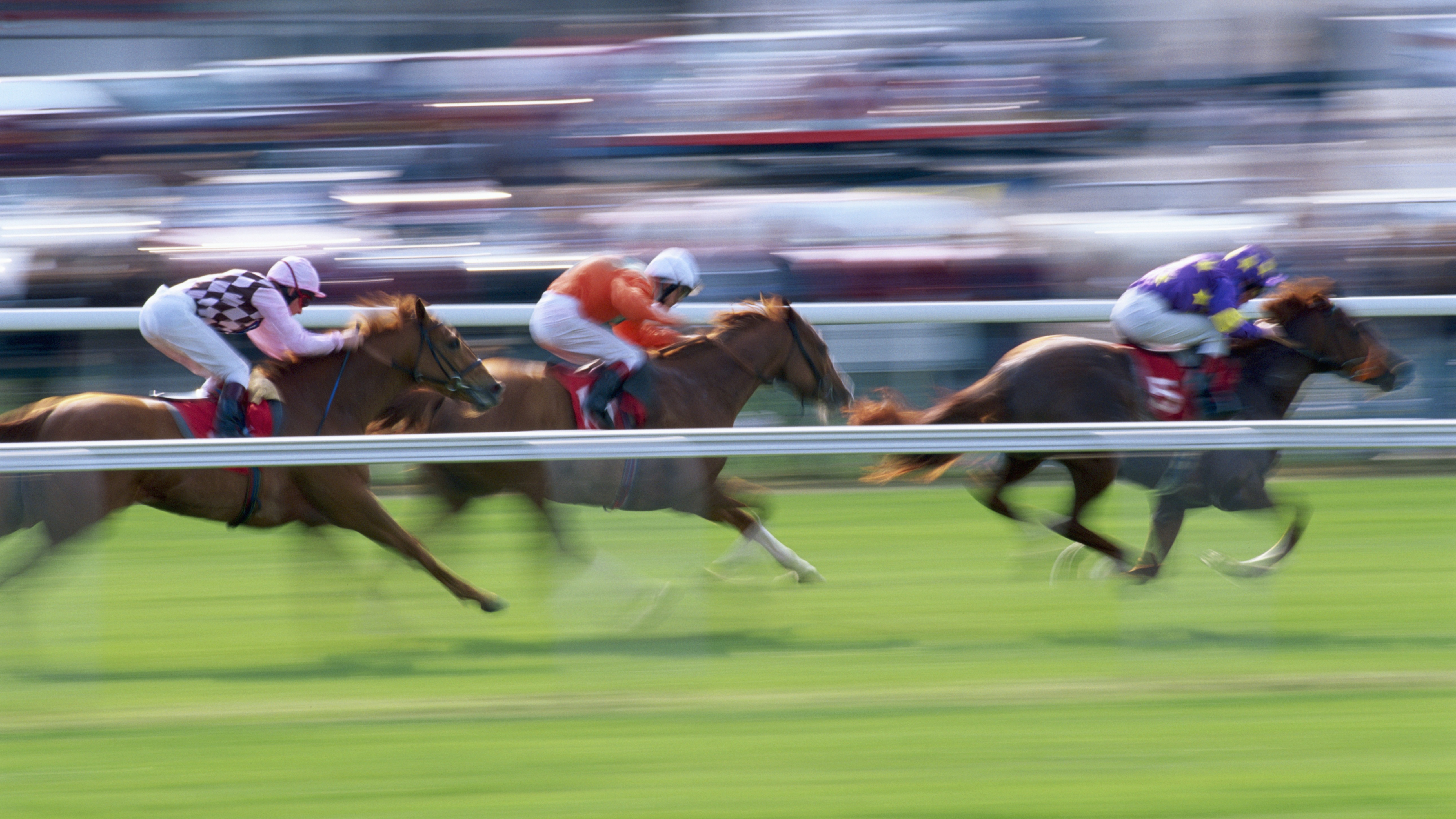 The Best Fanatics Sportsbook Promos to Claim for the Breeders' Cup