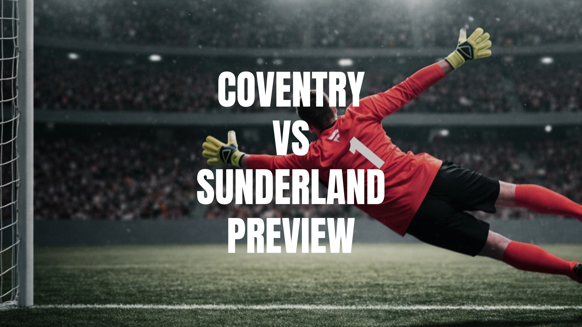 Coventry vs Sunderland Image