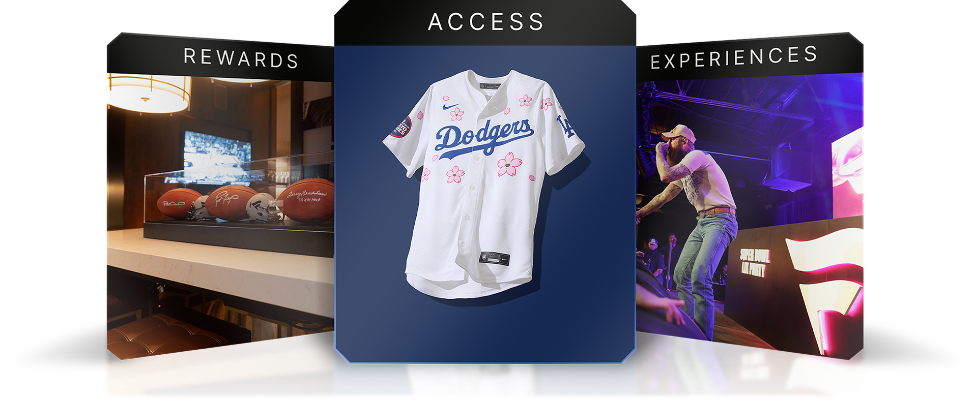 Fanatics One rewards program content cards featuring exclusive merchandise, VIP rewards, and live entertainment experiences.